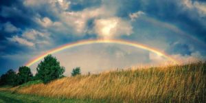 Regenbogen