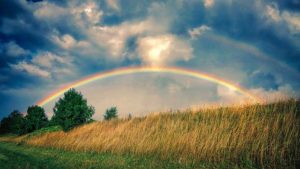 Regenbogen